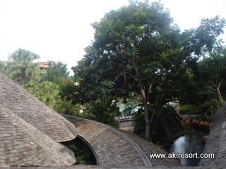 View of pool area